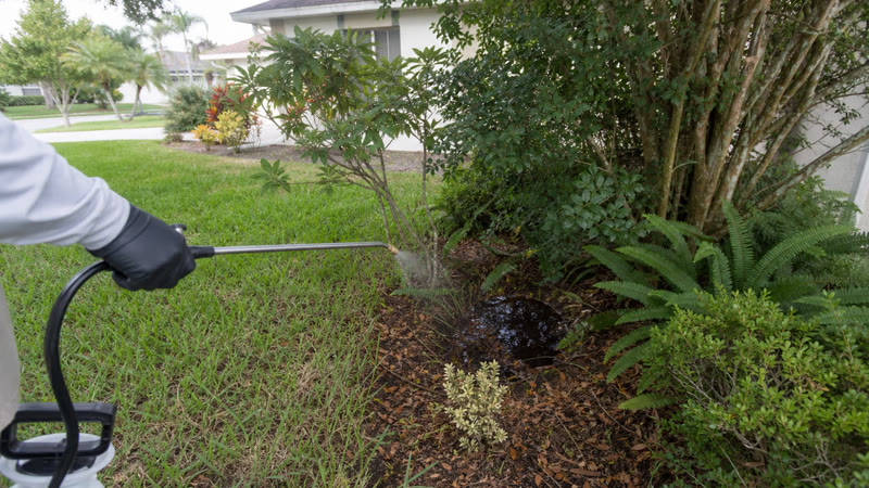 Mosquito control equipment set near a Brevard County backyard patio